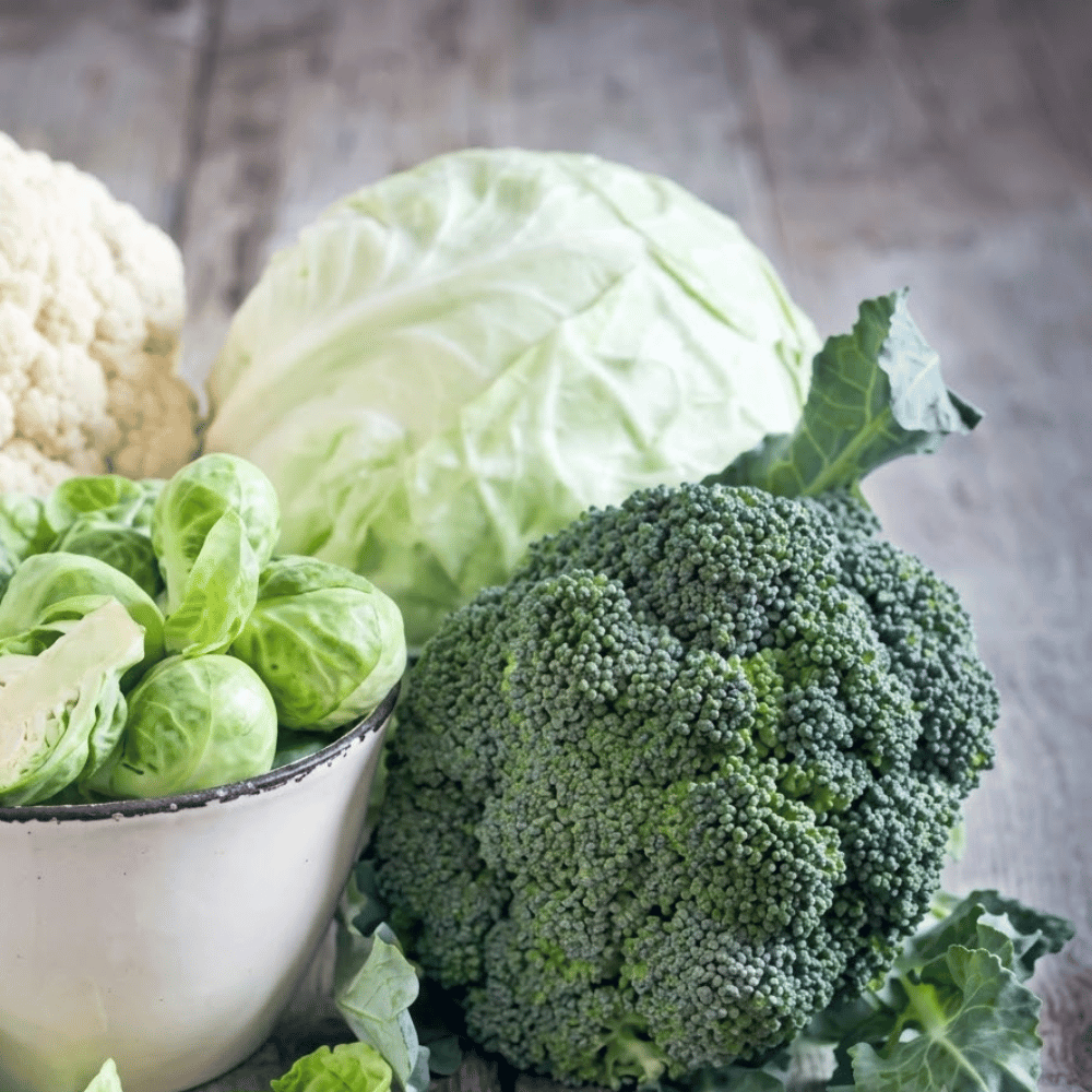 Premium Fresh Broccoli