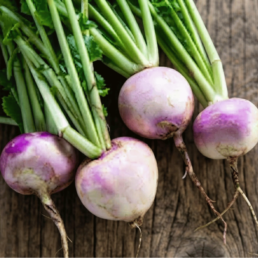 Premium Fresh Turnips