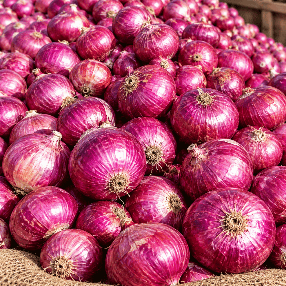 Premium Fresh Onions