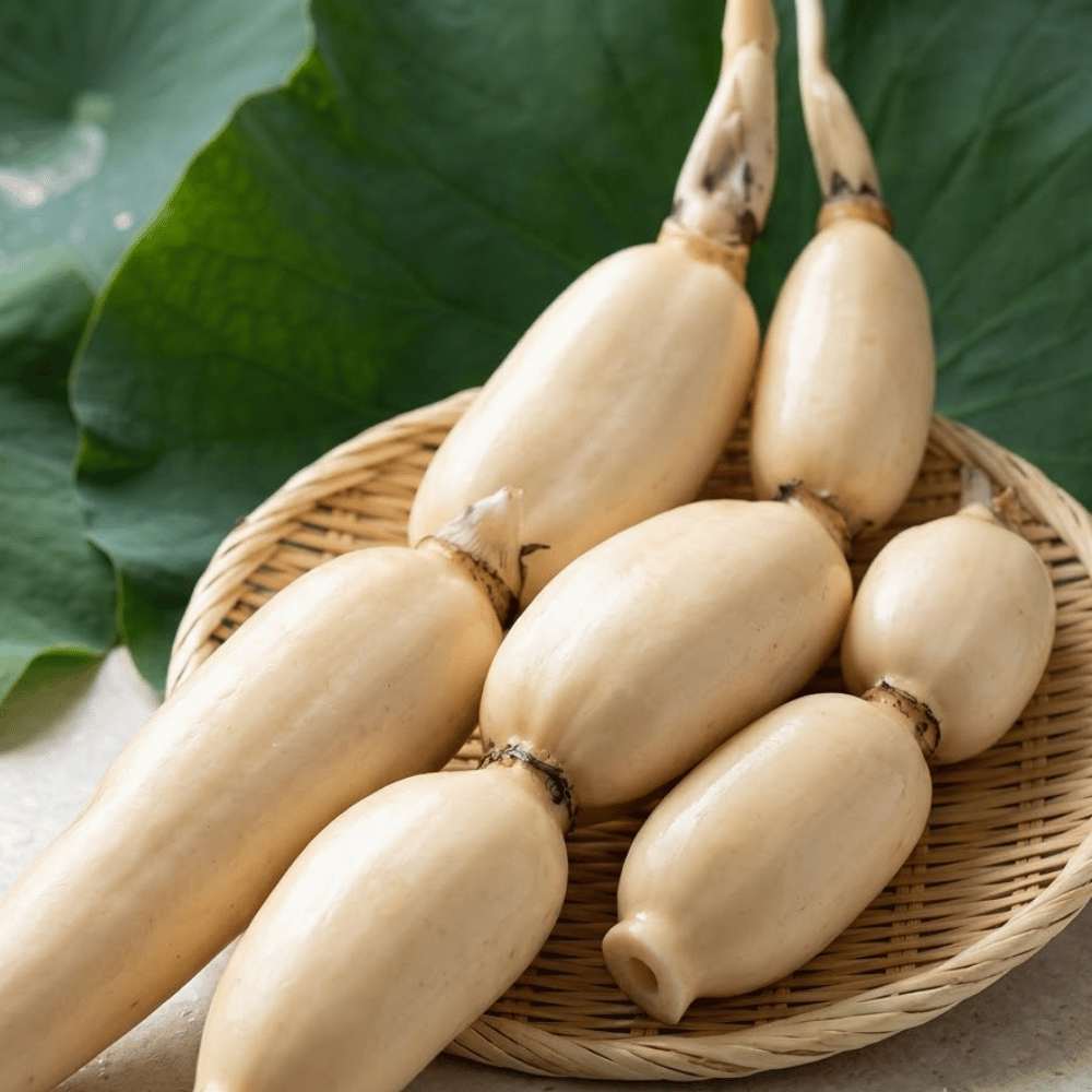 Premium Fresh Lotus Root