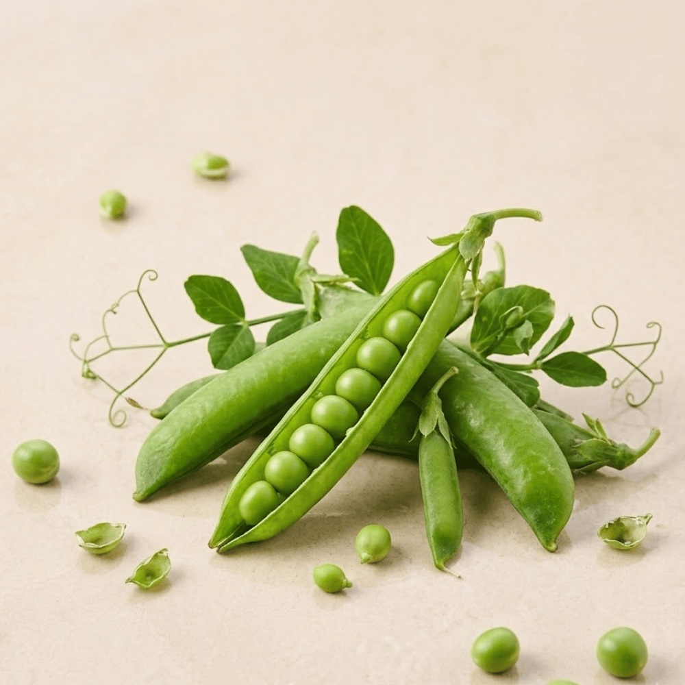 Premium Fresh Green Peas