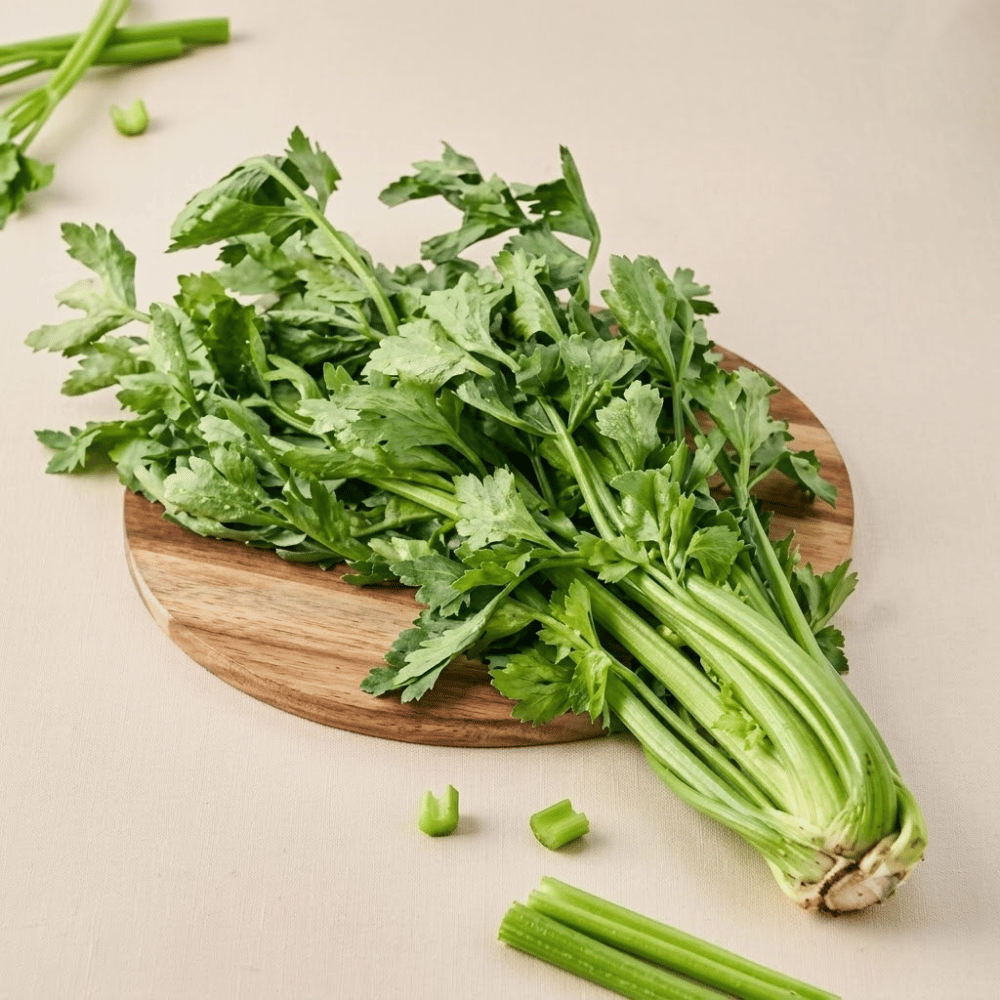 Premium Fresh Celery