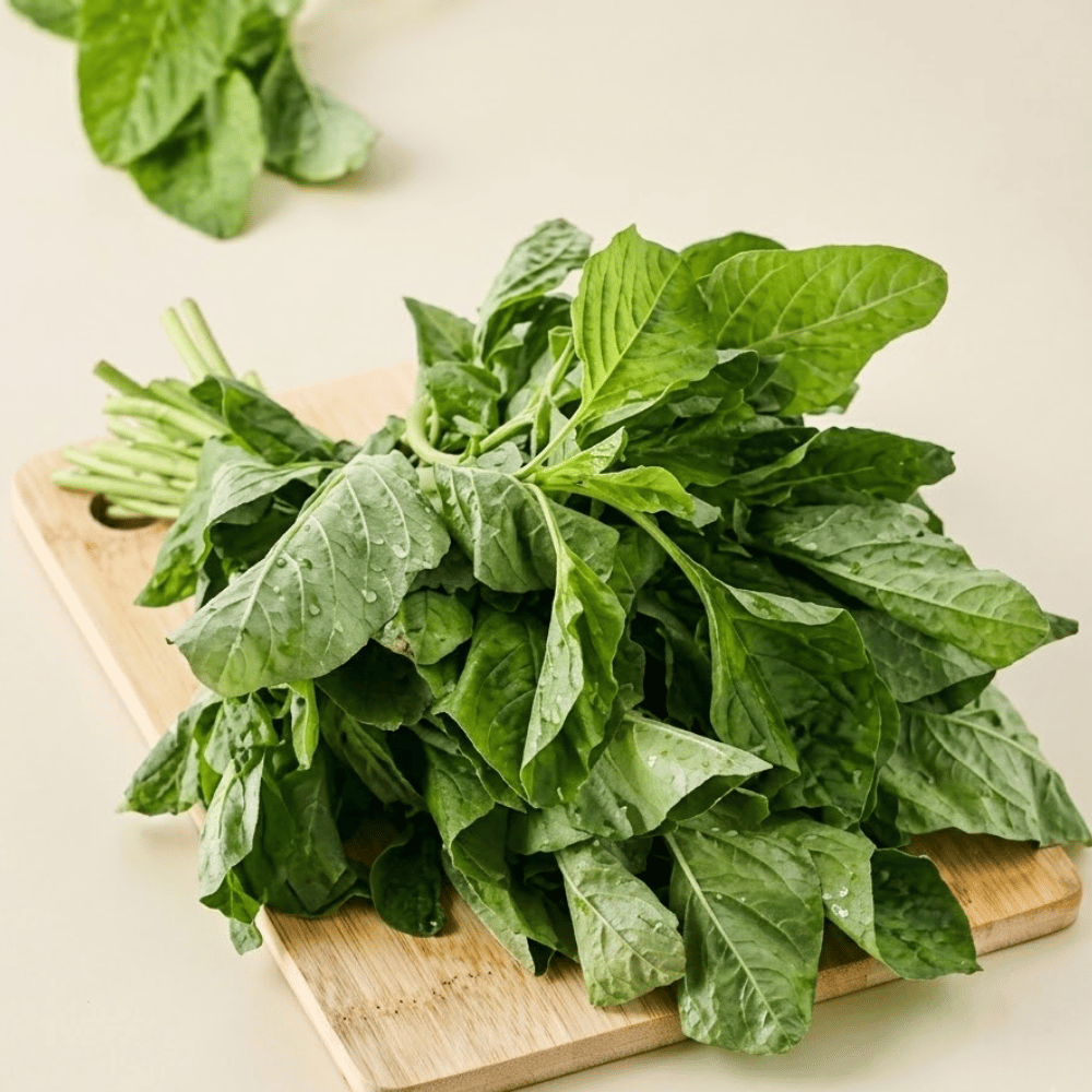 Premium Fresh Amaranth Leaves