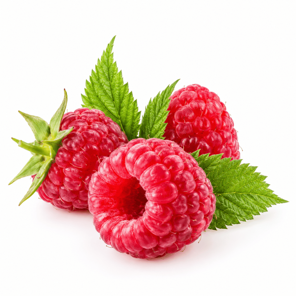 Premium Fresh Raspberries